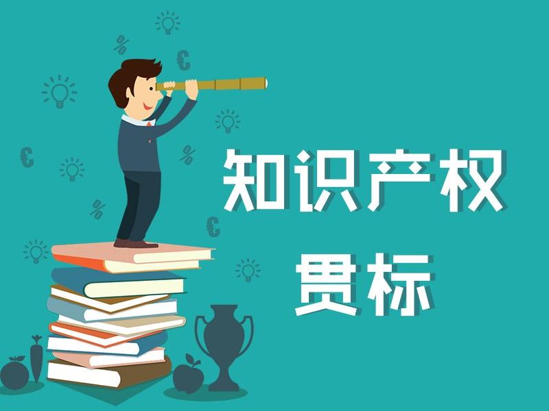 企業(yè)進(jìn)行知識(shí)產(chǎn)權(quán)貫標(biāo)的意義和目的是什么？